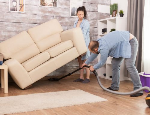 How Often Should You Get Carpet and Upholstery Cleaning in Sydney?